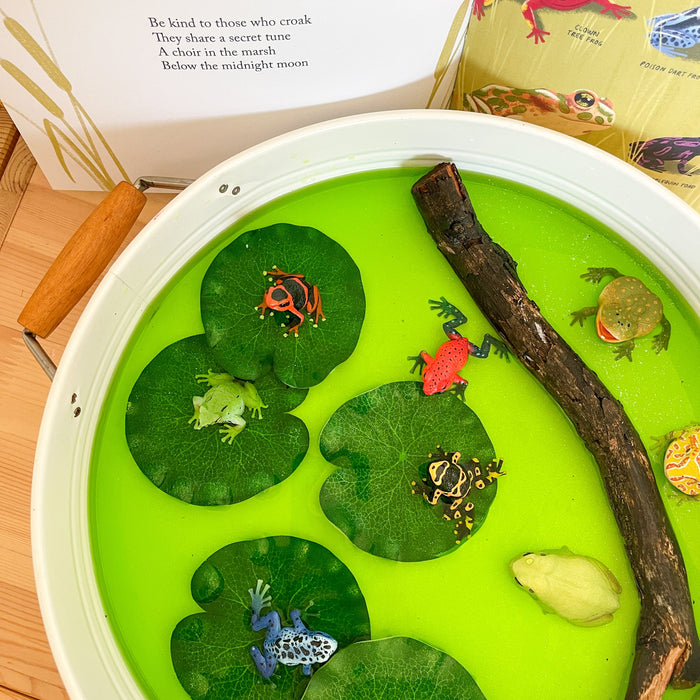12-Piece Frog Figurine Playset