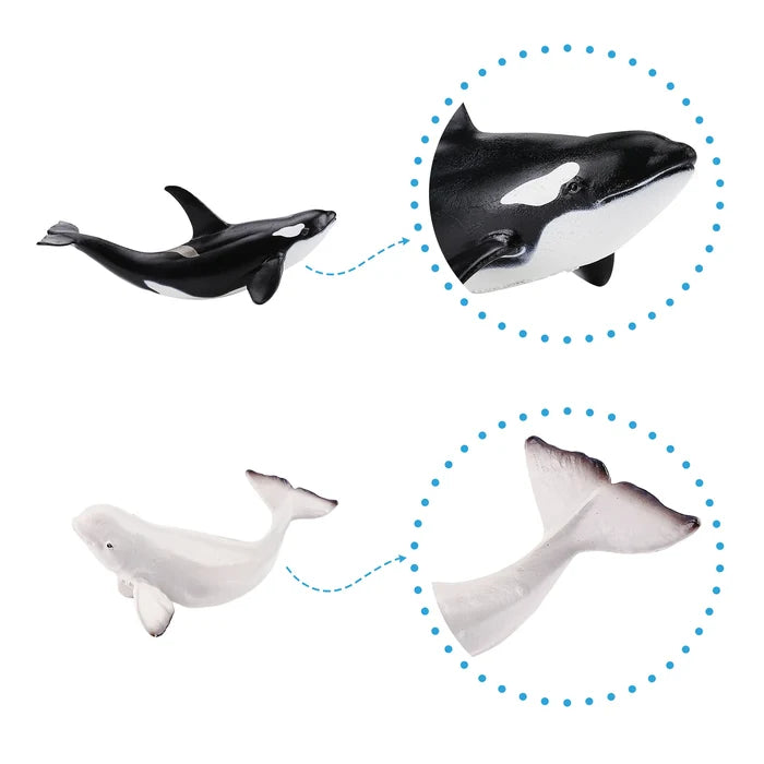 4-Piece Whale Adult & Calf Figurines Bundle