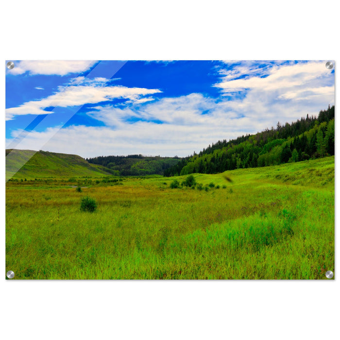 70c84ab7-a9fb-41f1-8ad4-90bdf0398a3c