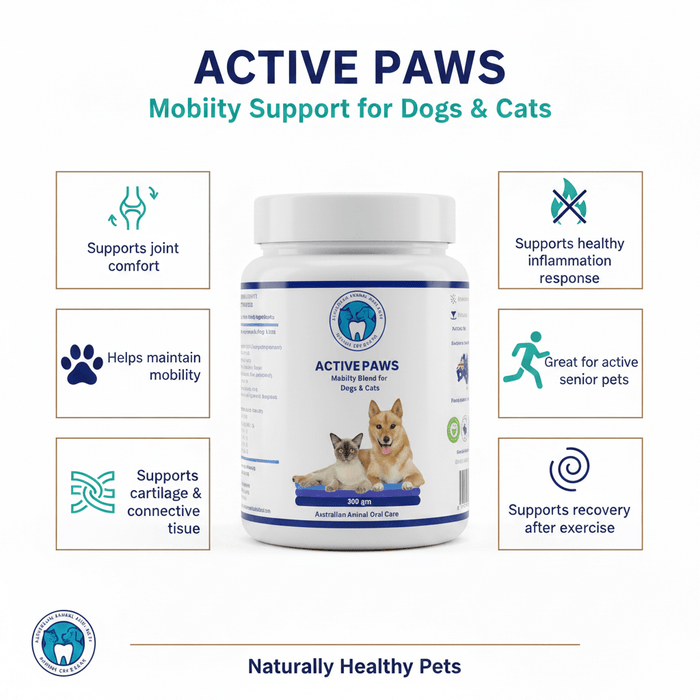 Active Paws - Mobility Support for pets