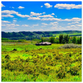 282d5c66-2726-4c98-9ed0-25a2c09f4005