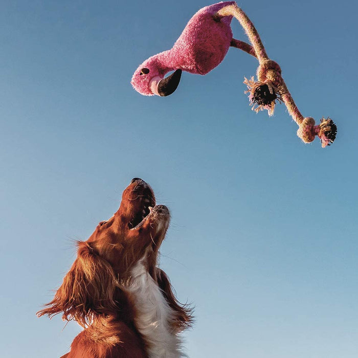Beco Hemp Rope Flamingo Dog Toy - DOGHOUSE