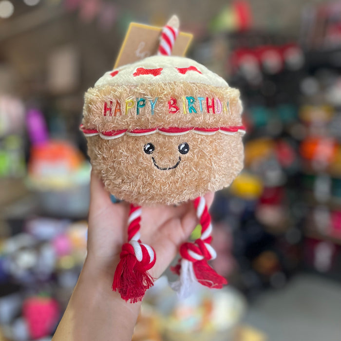 Birthday Cake With Rope Dog Toy