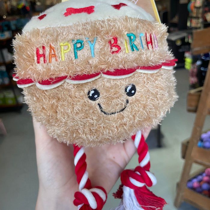 Birthday Cake With Rope Dog Toy