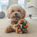 Country Pheasant Dog Toy - DOGHOUSE