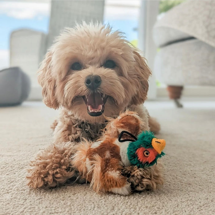 Country Pheasant Dog Toy - DOGHOUSE
