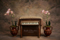 Digital Backdrop