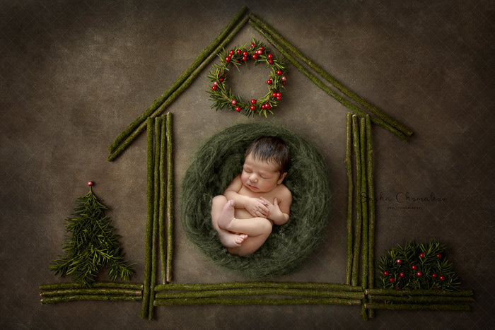 Digital  Backdrop