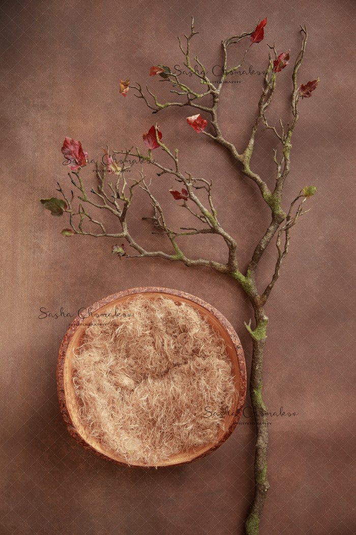 Digital Backdrop