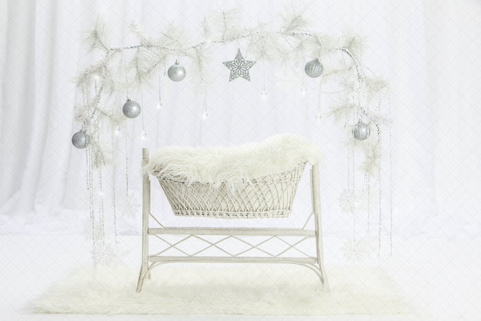 Digital Backdrop