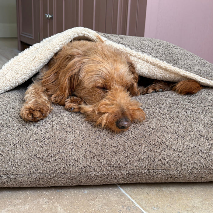 Doghouse Burrow Bed for Dogs