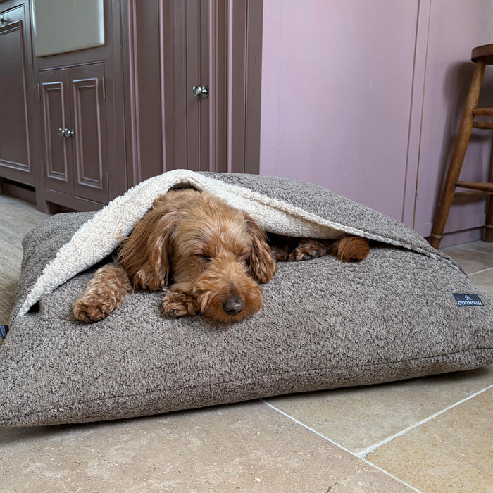 Doghouse Burrow Bed for Dogs
