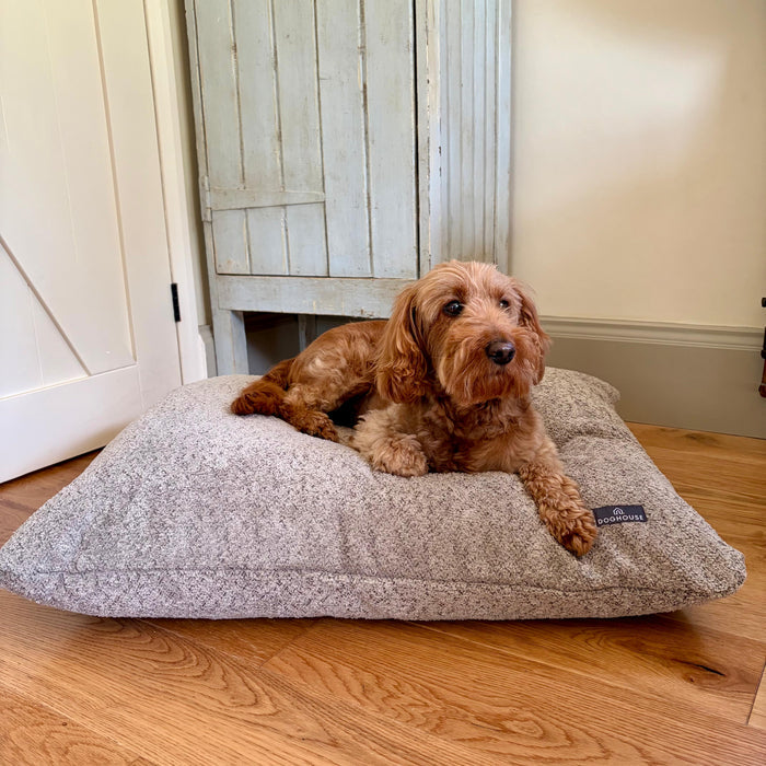 Doghouse Chenille Bed Pad for Dogs