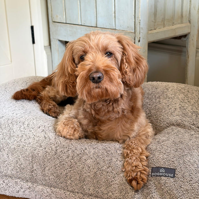 Doghouse Chenille Bed Pad for Dogs