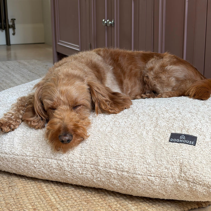 Doghouse Chenille Bed Pad for Dogs