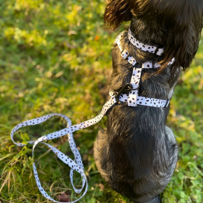 Doghouse Everyday Comfort Harness in Dalmatian Spot