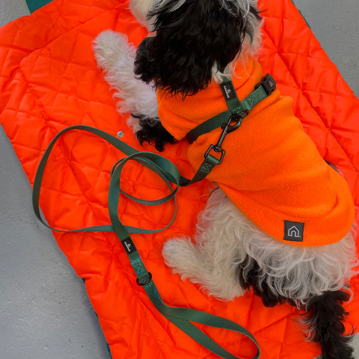 Doghouse Everyday Essential Harness in Forest Green - DOGHOUSE