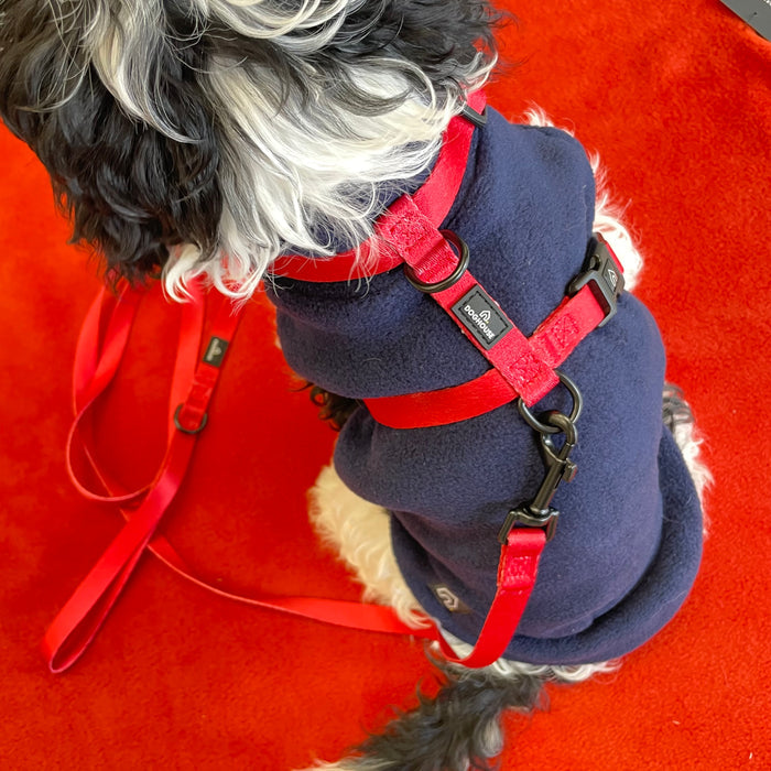 Doghouse Everyday Essential Harness in Red - DOGHOUSE
