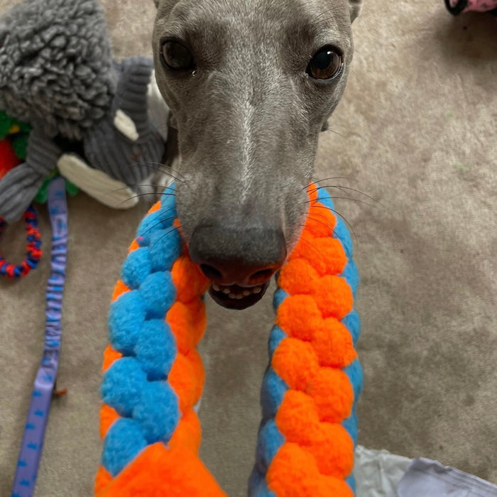 Doghouse Play and Tug Fleece Toy - DOGHOUSE