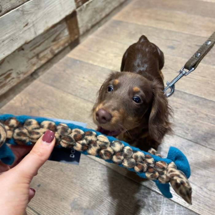 Doghouse Play and Tug Fleece Toy - DOGHOUSE