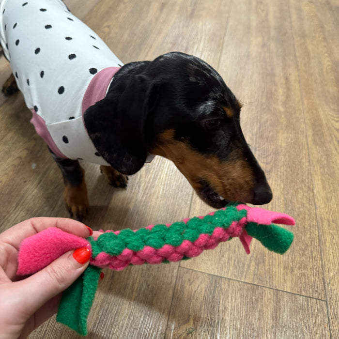 Doghouse Play and Tug Fleece Toy - DOGHOUSE