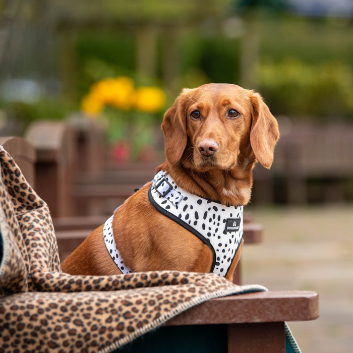 Doghouse Single Wild Blankets for Dogs - DOGHOUSE