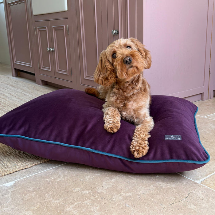 Doghouse Velvet Bed Pad for Dogs