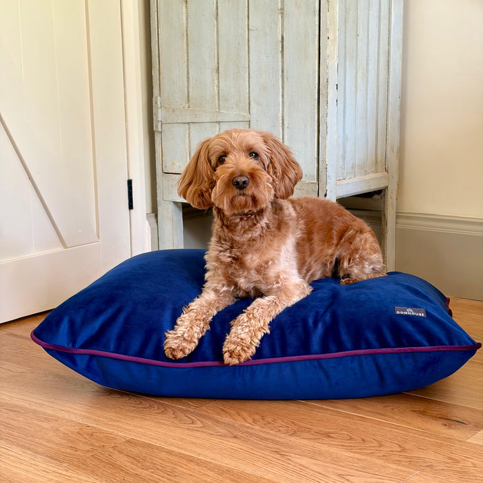 Doghouse Velvet Bed Pad for Dogs