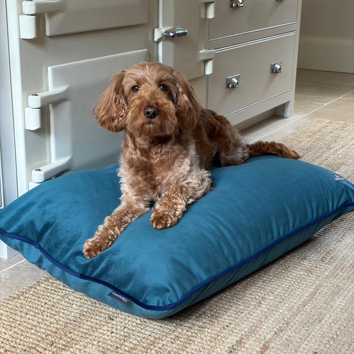 Doghouse Velvet Bed Pad for Dogs