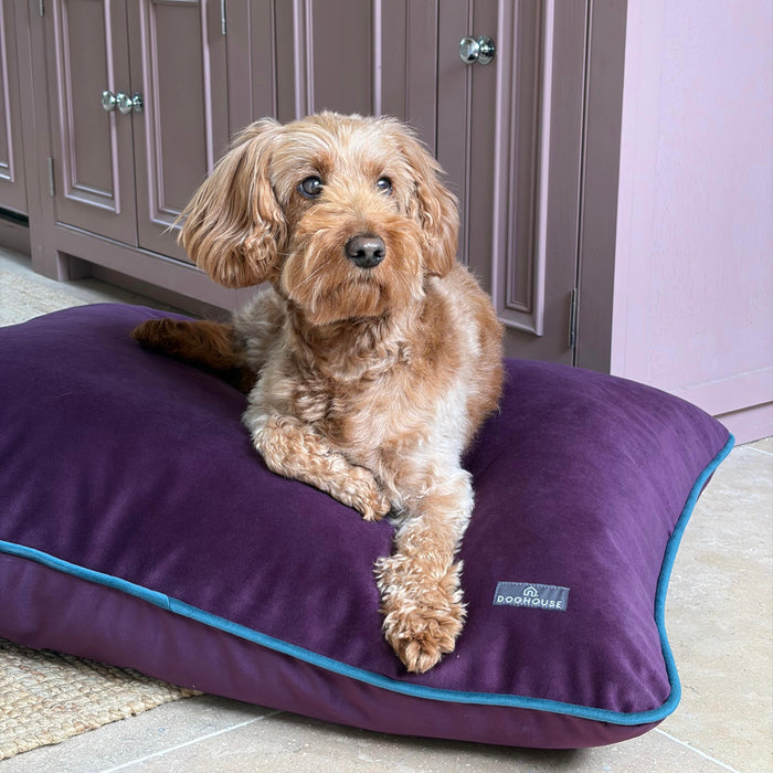 Doghouse Velvet Bed Pad for Dogs