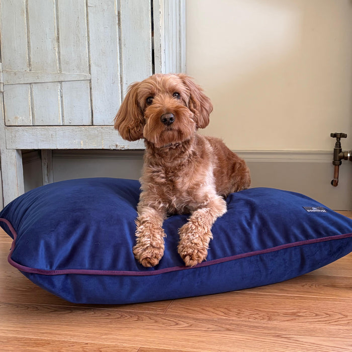 Doghouse Velvet Bed Pad for Dogs