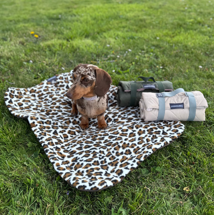 Doghouse Waterproof Pet Settle Mat