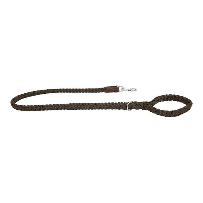 EARTHBOUND DOG LEAD BRAIDED