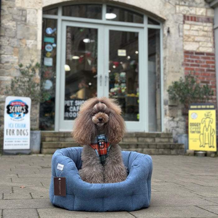Earthbound Orkney Daisy Blue Dog Bed