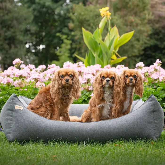 Earthbound Rectangular Camden Burnt Orange Dog Bed