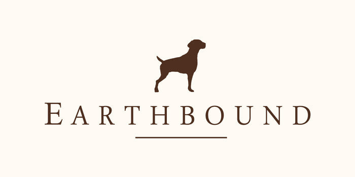 Eatthbound Teal Camden Dog Bed