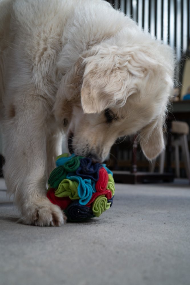 Fabric Snuffle Ball Toy