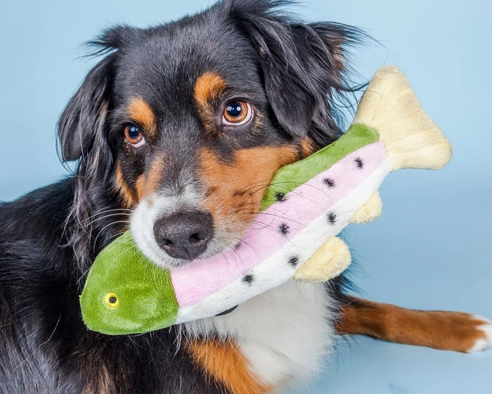 Burt Lake Trout Fluff and Tuff Dog Toy