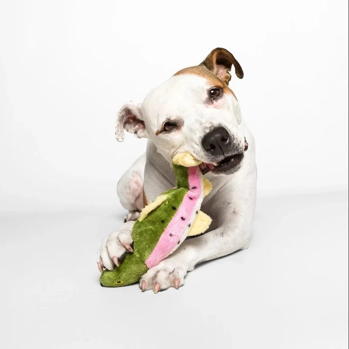 Burt Lake Trout Fluff and Tuff Dog Toy
