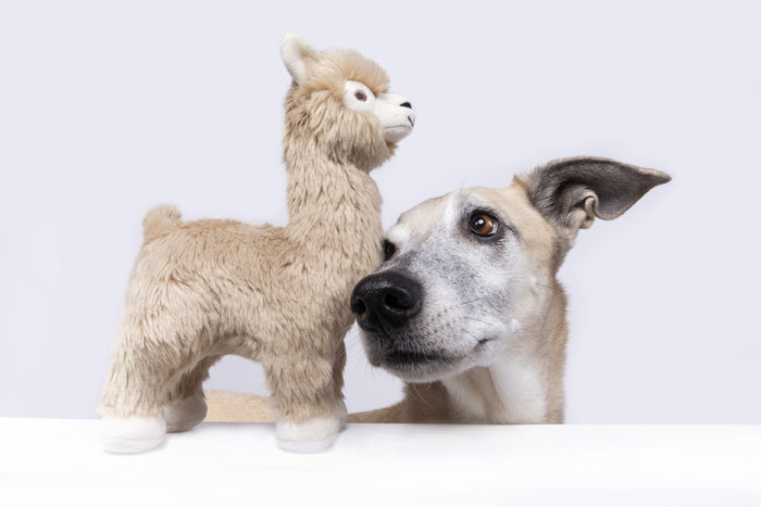 Fluff & Tuff Inca Alpaca - DOGHOUSE