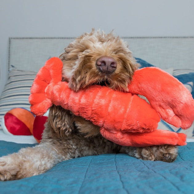 Manny the Lobster