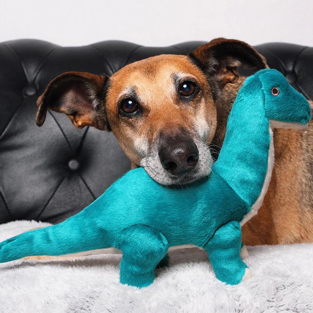 Ross Brachiosaurus Dinosaur Dog Toy