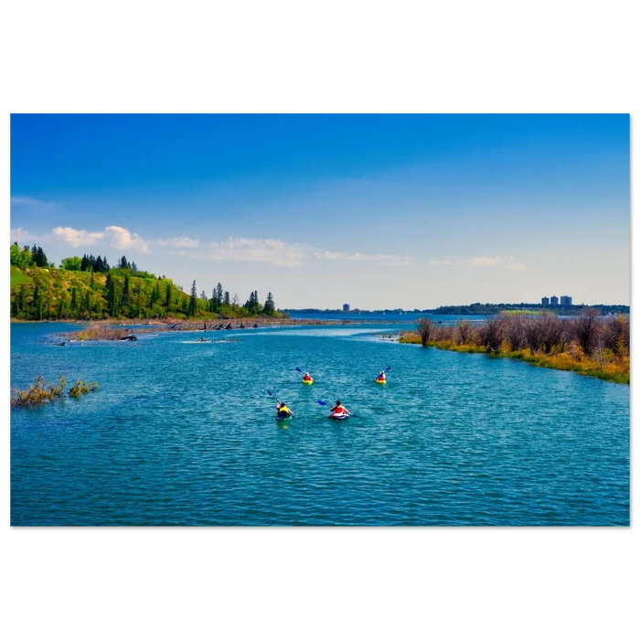 bc2b5c29-cd59-4549-8bf5-f2c182490b01