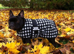 Foggy Mountain Snuggler Fleece Dog Coats