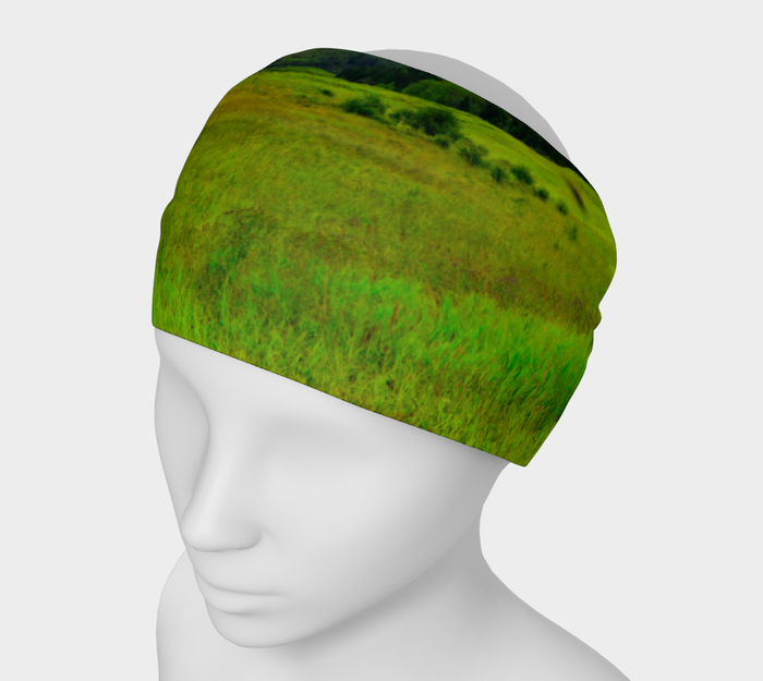 Headband - Big Hill Springs Park Entrance
