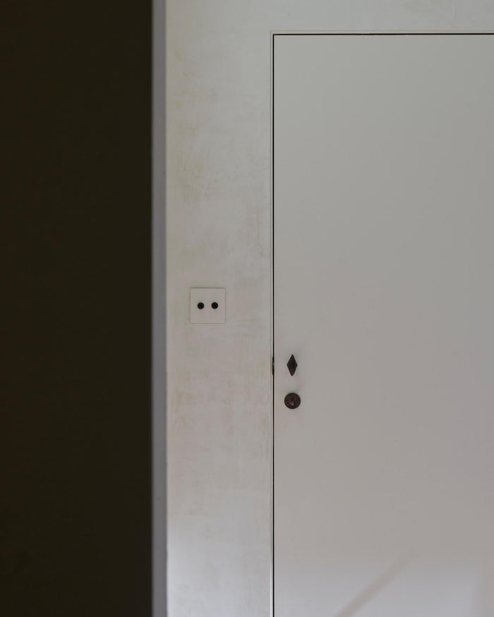 P-L1