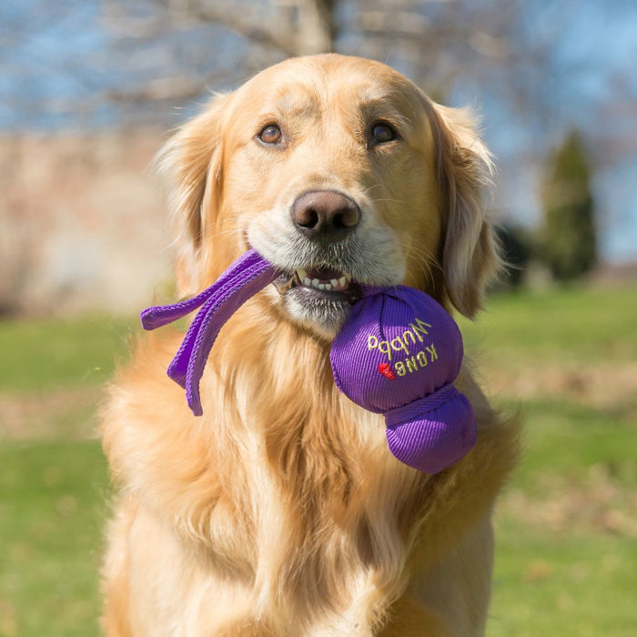 Kong Wubba Dog Toy - DOGHOUSE