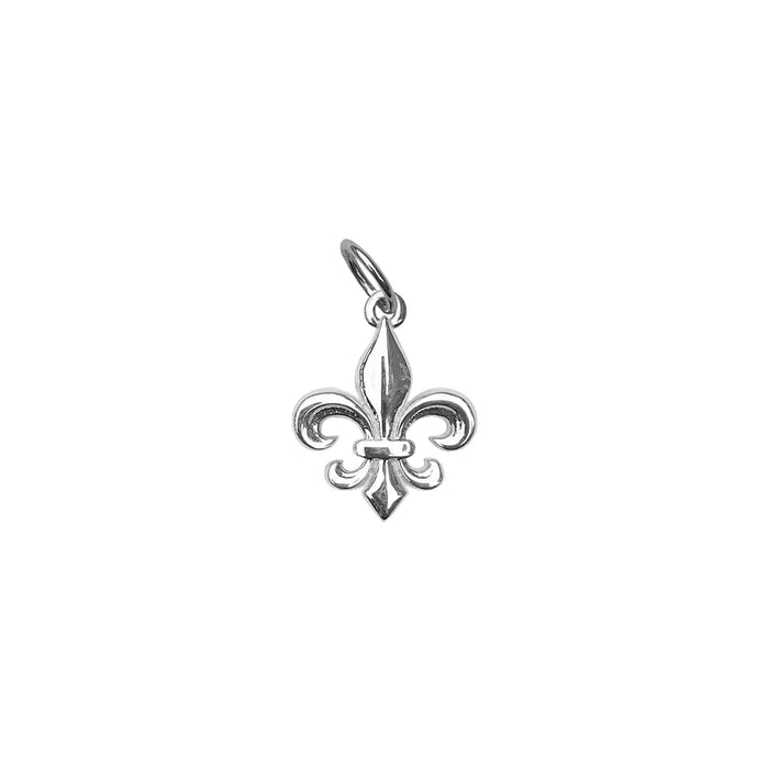 Medium Fleur de Lis Charm