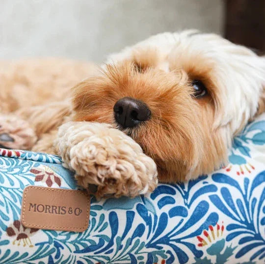 Morris & co Dog bed
