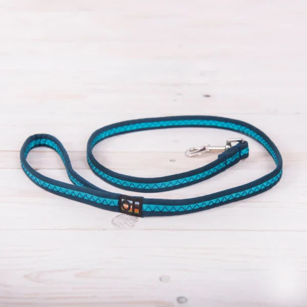 Navy Oscar and Hooch Dog Lead